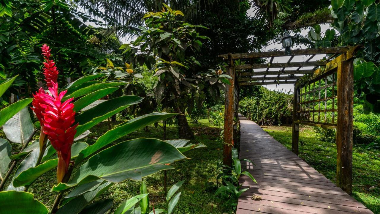 Bambuda Lodge Solarte Kültér fotó